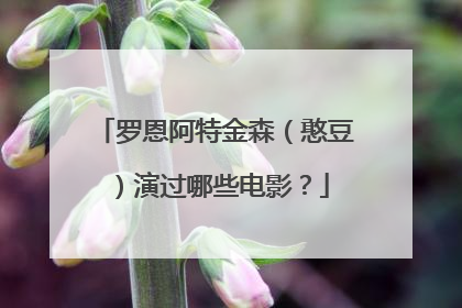 罗恩阿特金森（憨豆）演过哪些电影？