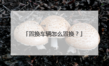 置换车辆怎么置换？