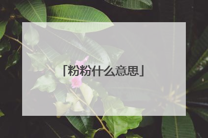 粉粉什么意思