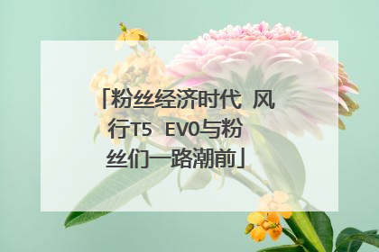 粉丝经济时代 风行T5 EVO与粉丝们一路潮前