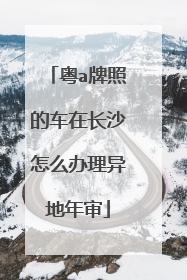 粤a牌照的车在长沙怎么办理异地年审