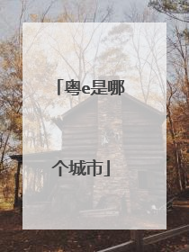 粤e是哪个城市