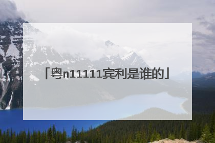 粤n11111宾利是谁的