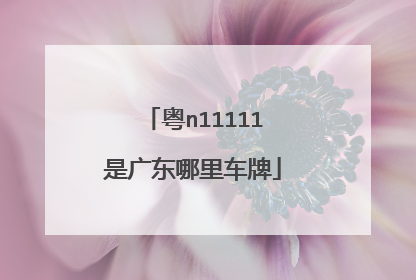 粤n11111是广东哪里车牌