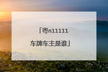粤n11111车牌车主是谁