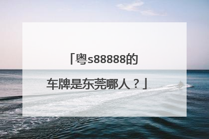 粤s88888的车牌是东莞哪人？