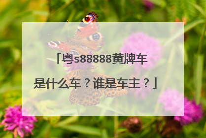 粤s88888黄牌车是什么车？谁是车主？