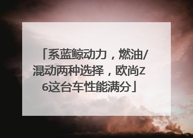 系蓝鲸动力，燃油/混动两种选择，欧尚Z6这台车性能满分