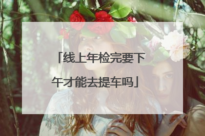 线上年检完要下午才能去提车吗
