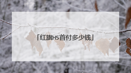 红旗H5首付多少钱