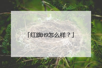 红旗H9怎么样？