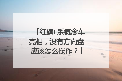 红旗L系概念车亮相，没有方向盘应该怎么操作？