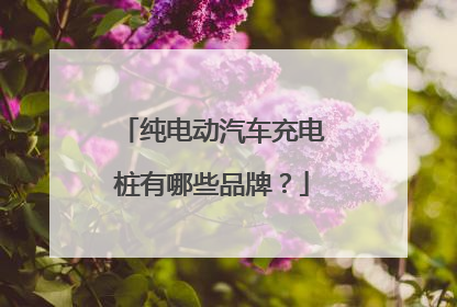 纯电动汽车充电桩有哪些品牌？