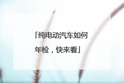 纯电动汽车如何年检，快来看
