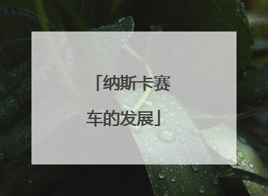 纳斯卡赛车的发展