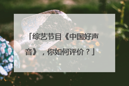 综艺节目《中国好声音》，你如何评价？