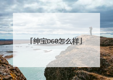 绅宝D60怎么样