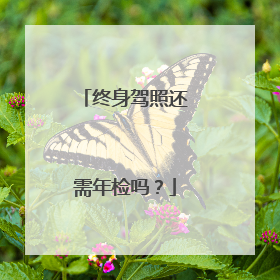 终身驾照还需年检吗？