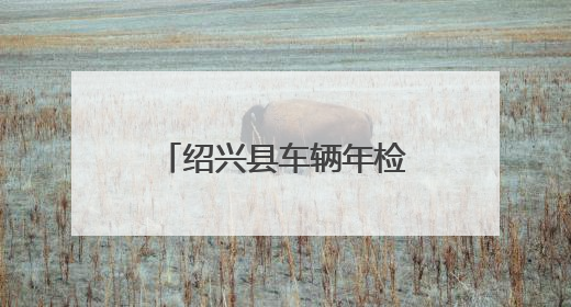 绍兴县车辆年检要带什么资料?