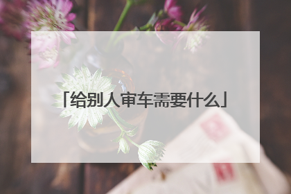 给别人审车需要什么