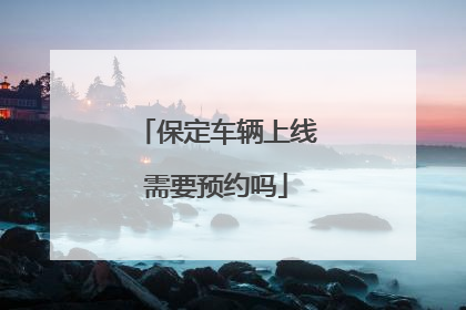 保定车辆上线需要预约吗