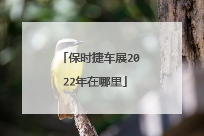 保时捷车展2022年在哪里