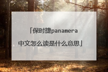 保时捷panamera中文怎么读是什么意思
