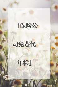 保险公司免费代年检