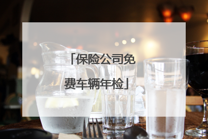 保险公司免费车辆年检
