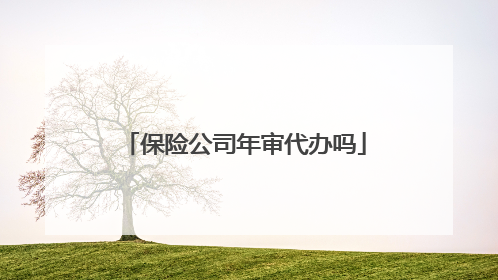 保险公司年审代办吗