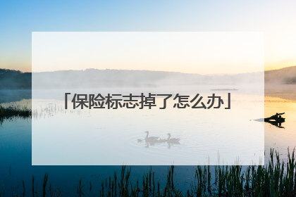 保险标志掉了怎么办