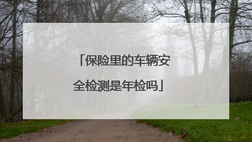 保险里的车辆安全检测是年检吗