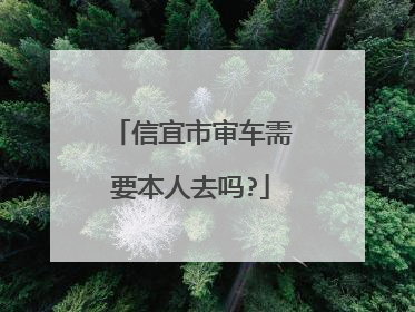 信宜市审车需要本人去吗?