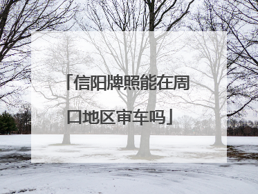 信阳牌照能在周口地区审车吗