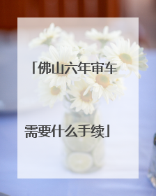 佛山六年审车需要什么手续