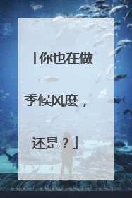 你也在做季候风麽，还是？