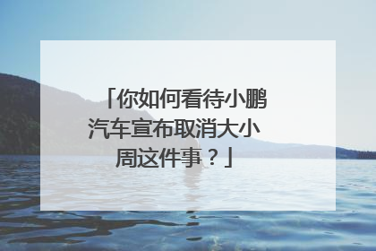 你如何看待小鹏汽车宣布取消大小周这件事？