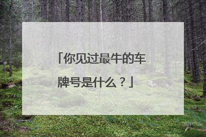 你见过最牛的车牌号是什么？