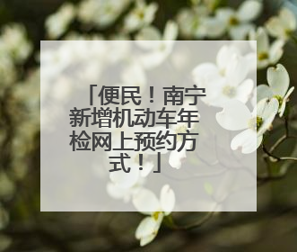便民！南宁新增机动车年检网上预约方式！