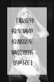 临安年检车辆单位都是车辆管理所的吗在