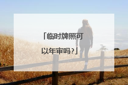 临时牌照可以年审吗?