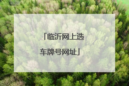 临沂网上选车牌号网址