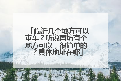 临沂几个地方可以审车？听说南坊有个地方可以，很简单的？具体地址在哪