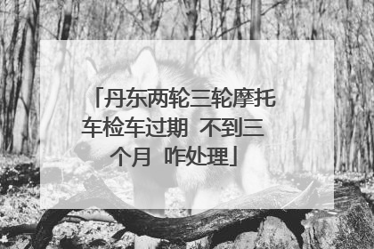 丹东两轮三轮摩托车检车过期 不到三个月 咋处理