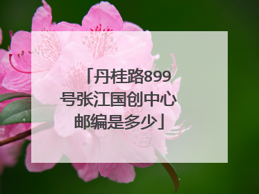 丹桂路899号张江国创中心邮编是多少