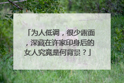 为人低调，很少露面，深藏在许家印身后的女人究竟是何背景？