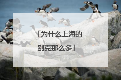 为什么上海的别克那么多