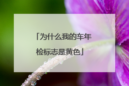 为什么我的车年检标志是黄色
