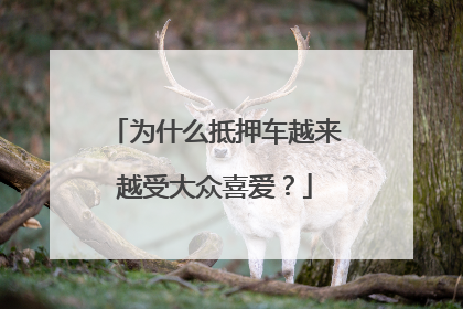 为什么抵押车越来越受大众喜爱？