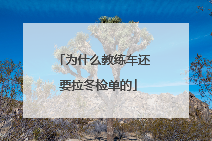 为什么教练车还要拉冬检单的